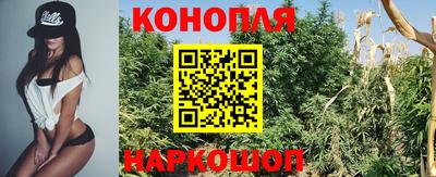 сатива Конаково