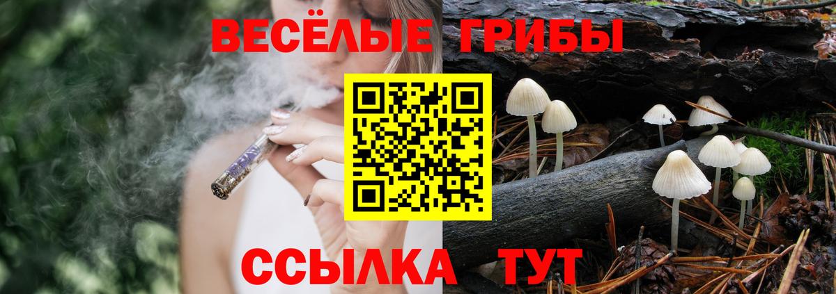 Псилоцибиновые грибы Psilocybine cubensis Каменск-Уральский